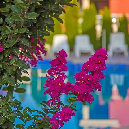 Апарт-готель Anthony Complex Светий Влас