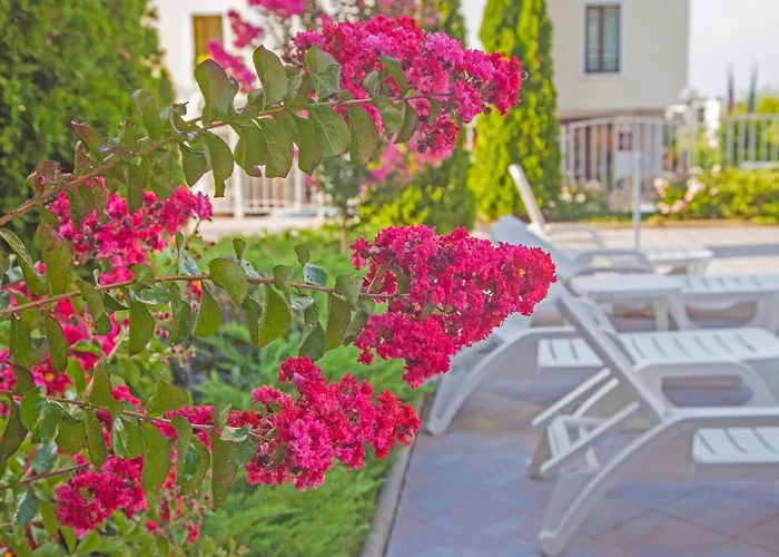 公寓式酒店 Anthony Complex