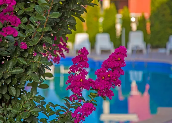 公寓式酒店 Anthony Complex 圣弗拉斯